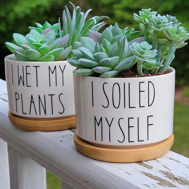 Adorable Funny Succulent Pot with Bamboo Tray - Perfect Mini Plant Holder!